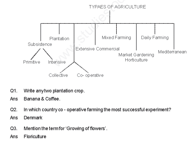 CBSE Class 12 Geography Primary Activities Assignment